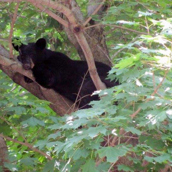 Welcome to my Page 😊💕 - Picture 5 of 8